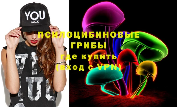 молекула духа Протвино