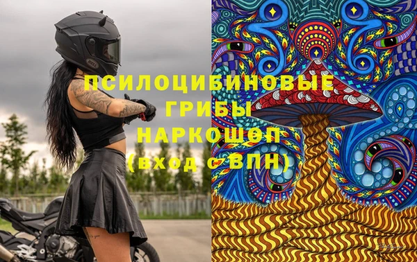 apvp Чита