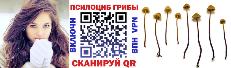 даркнет сайт  Белая Холуница  Галлюциногенные грибы ЛСД 
