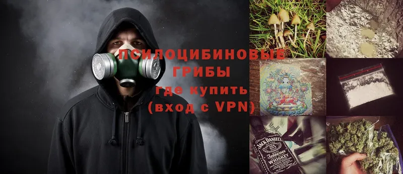 наркота  Белая Холуница  блэк спрут маркетплейс  Галлюциногенные грибы мицелий 