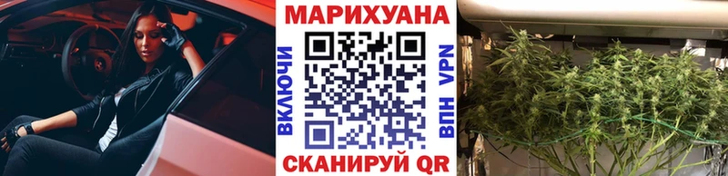 Конопля гибрид  купить наркоту  Белая Холуница 